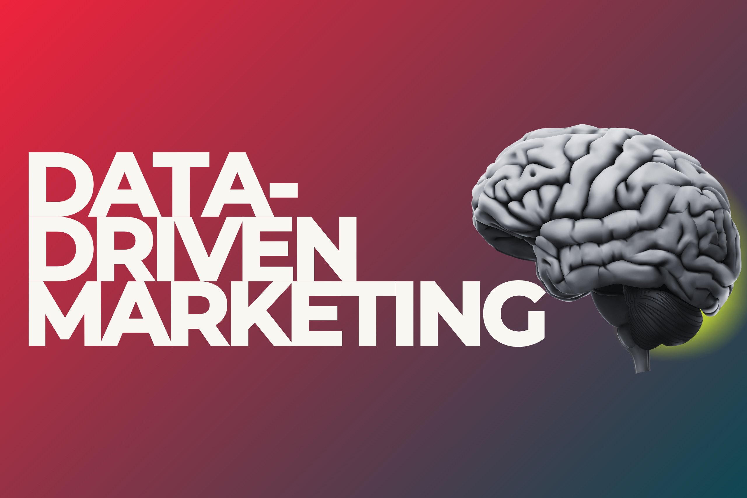 Data-Driven Marketing